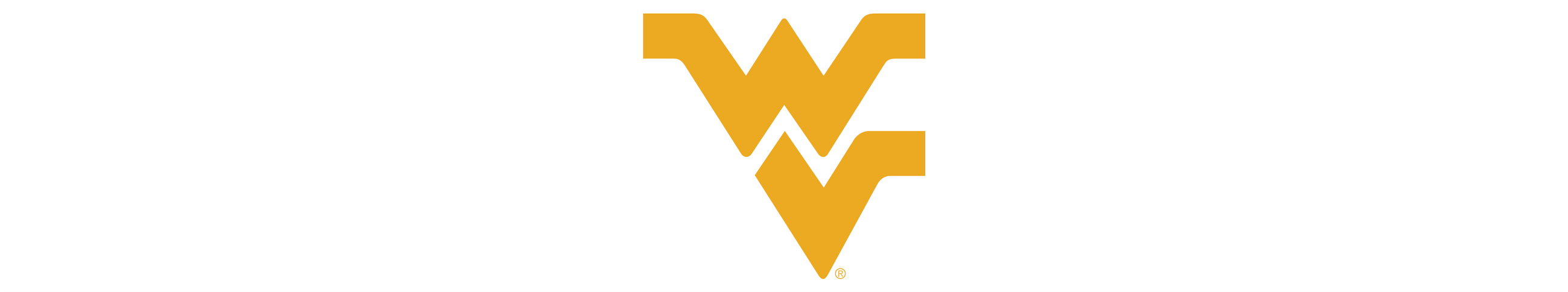 West Virginia Mountaineers