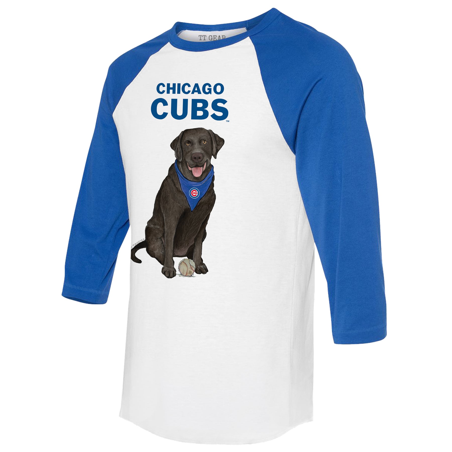 Chicago Cubs Black Labrador Retriever 3/4 Royal Blue Sleeve Raglan