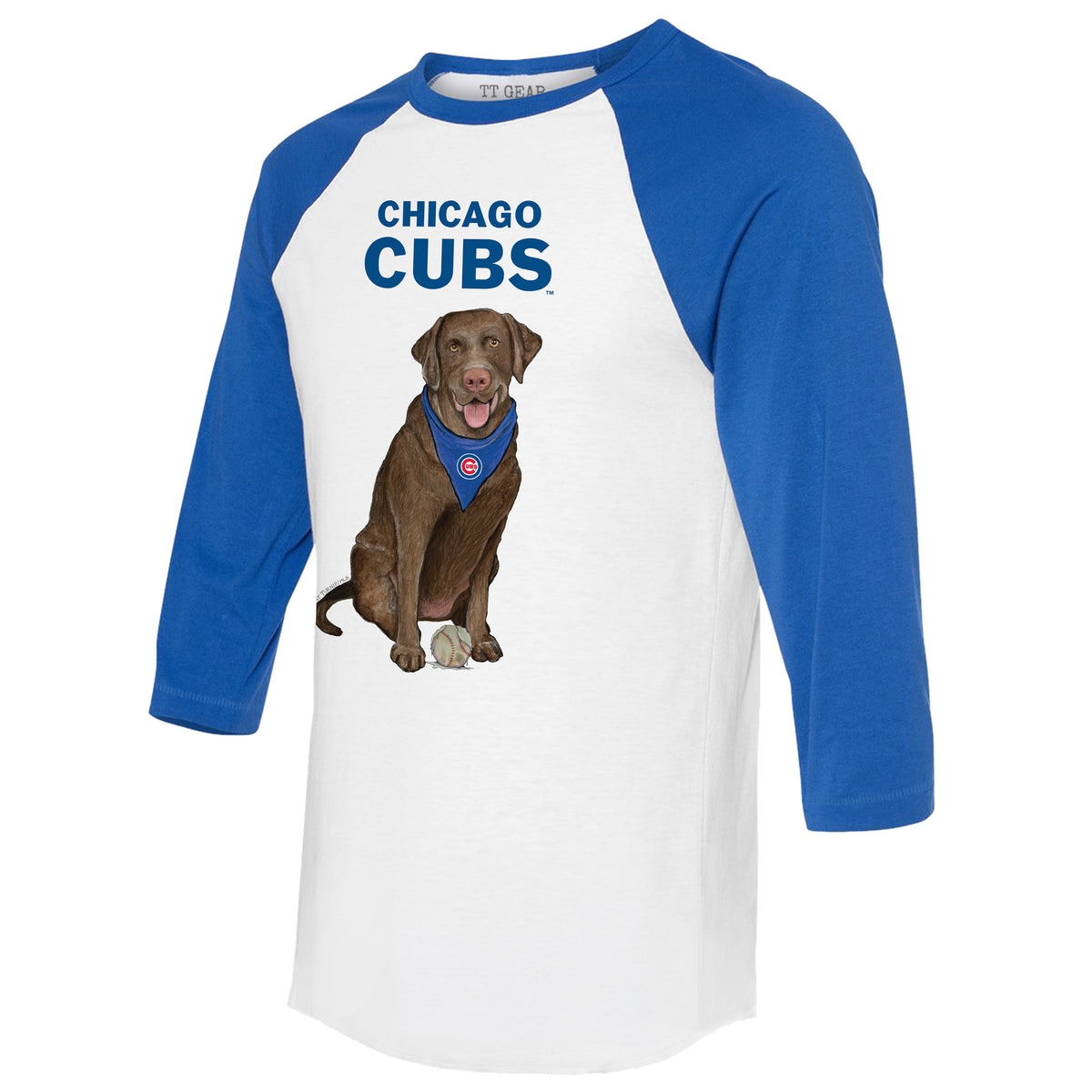 Chicago Cubs Chocolate Labrador Retriever 3/4 Royal Blue Sleeve Raglan