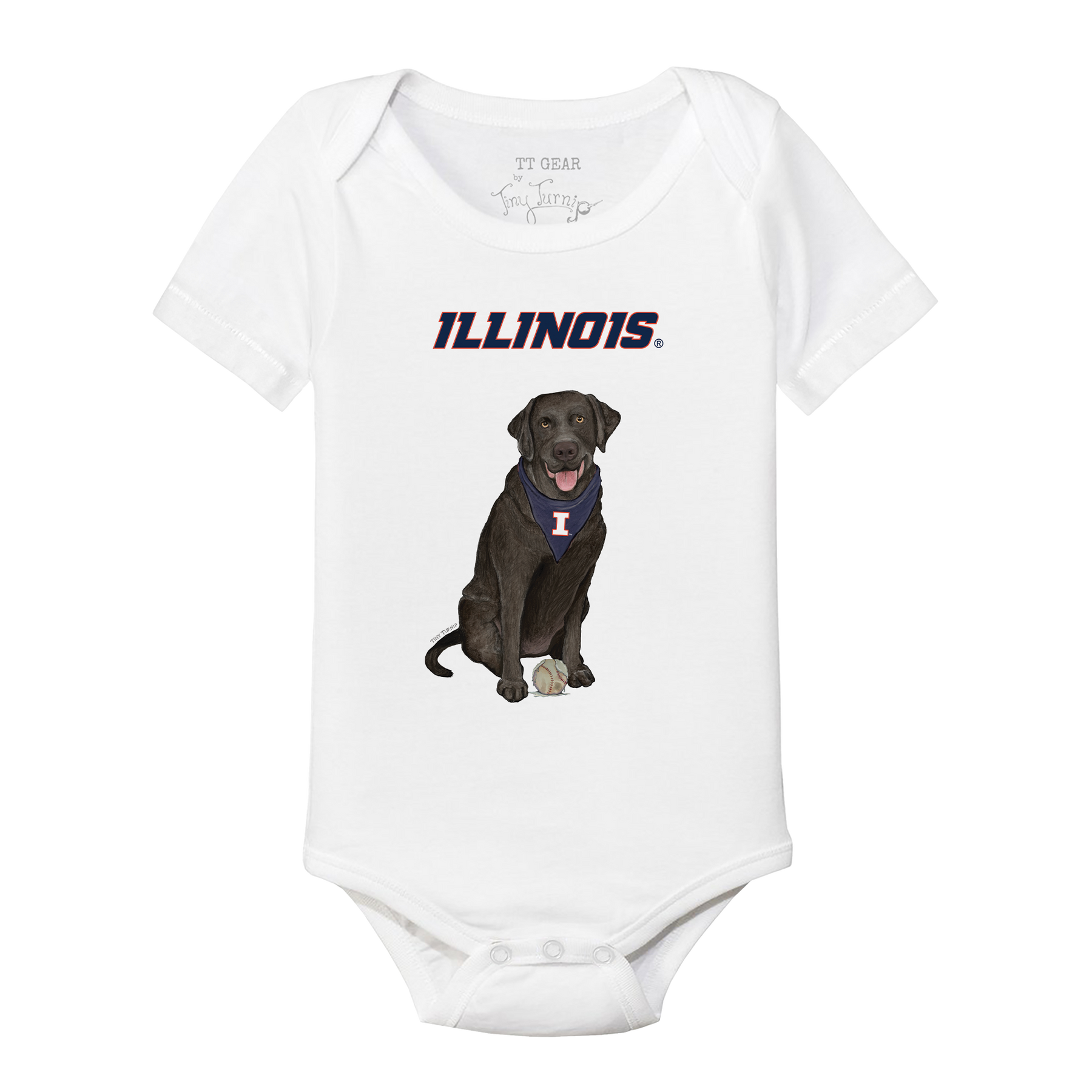 Illinois Fighting Illini Black Labrador Retriever Short Sleeve Snapper