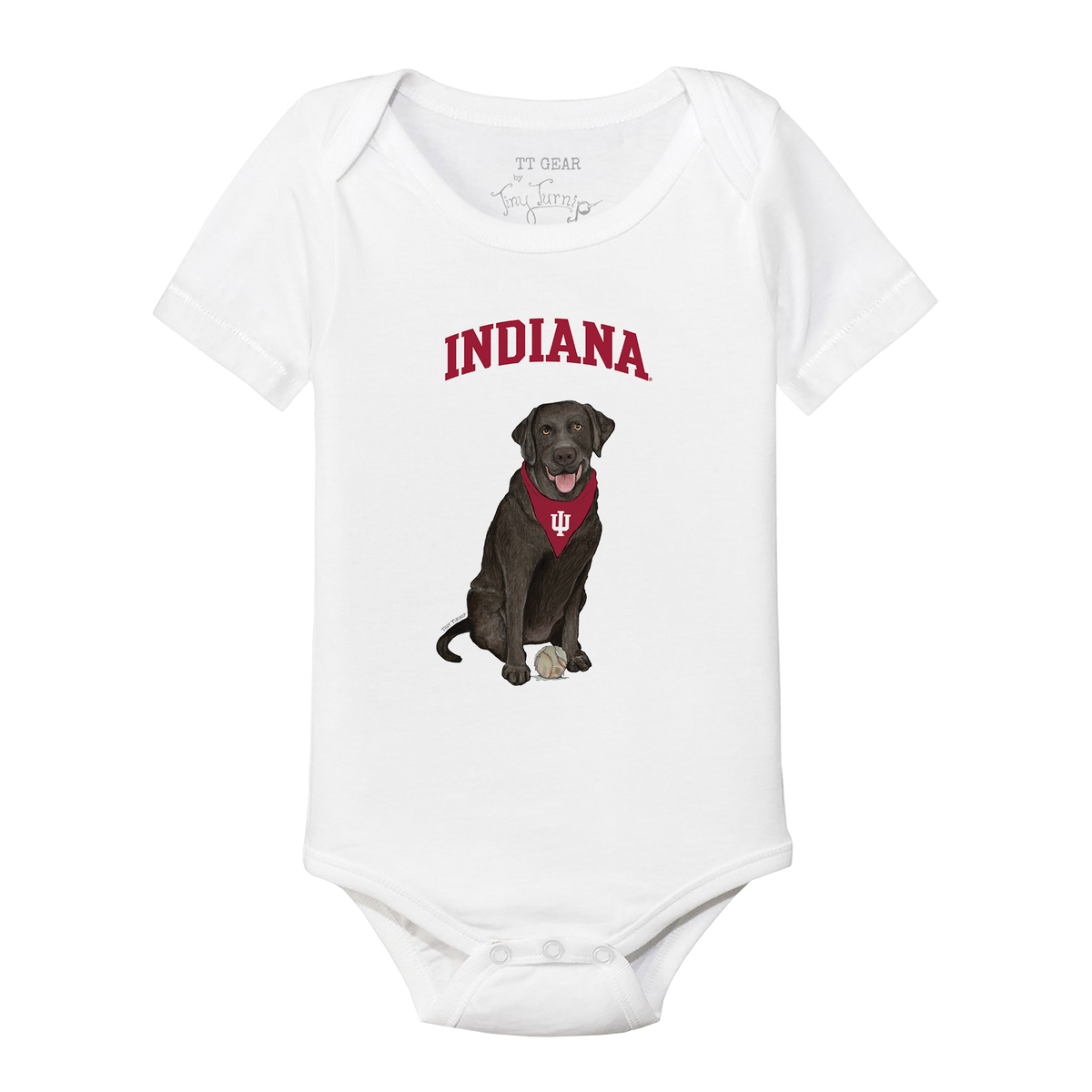 Indiana Hoosiers Black Labrador Retriever Short Sleeve Snapper