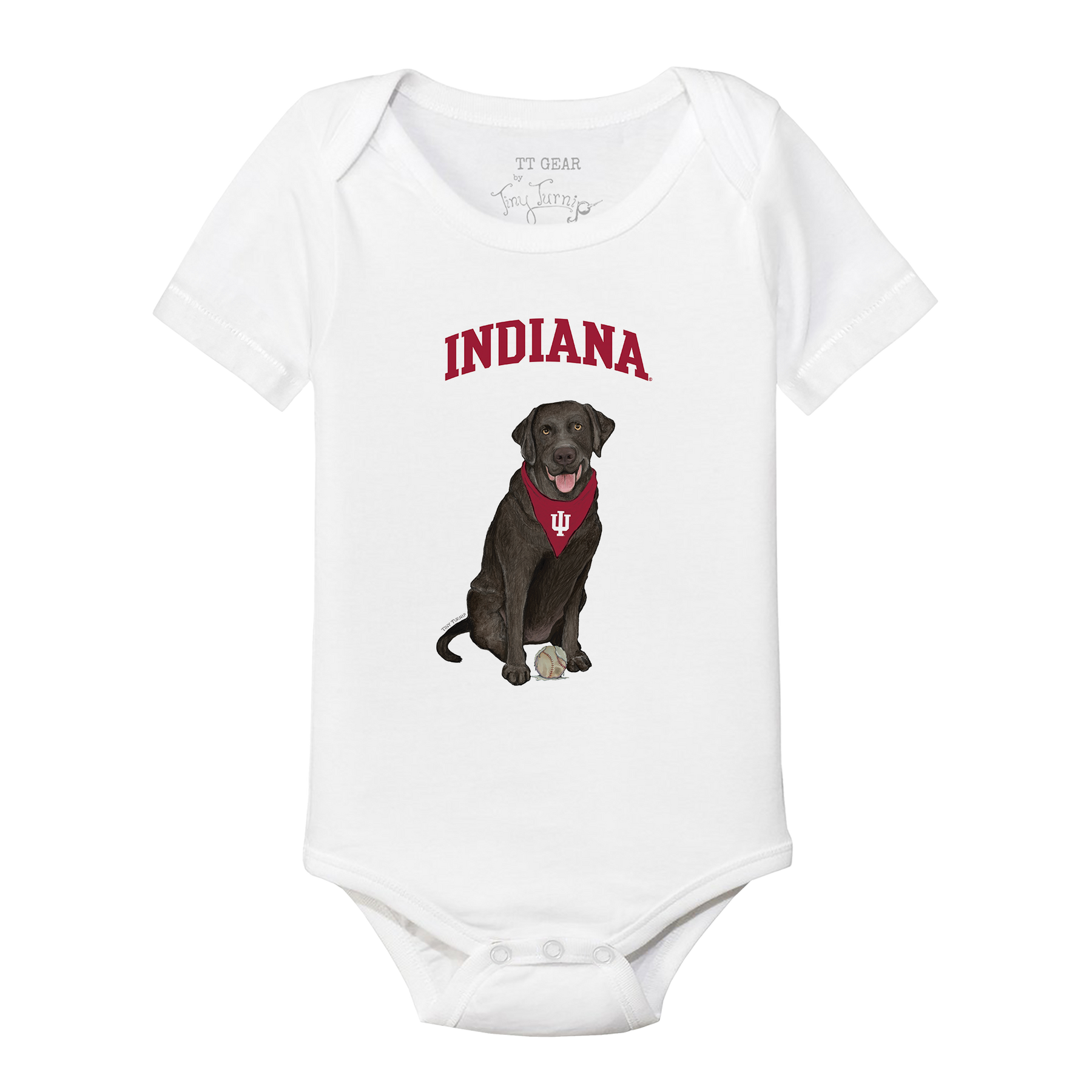 Indiana Hoosiers Black Labrador Retriever Short Sleeve Snapper