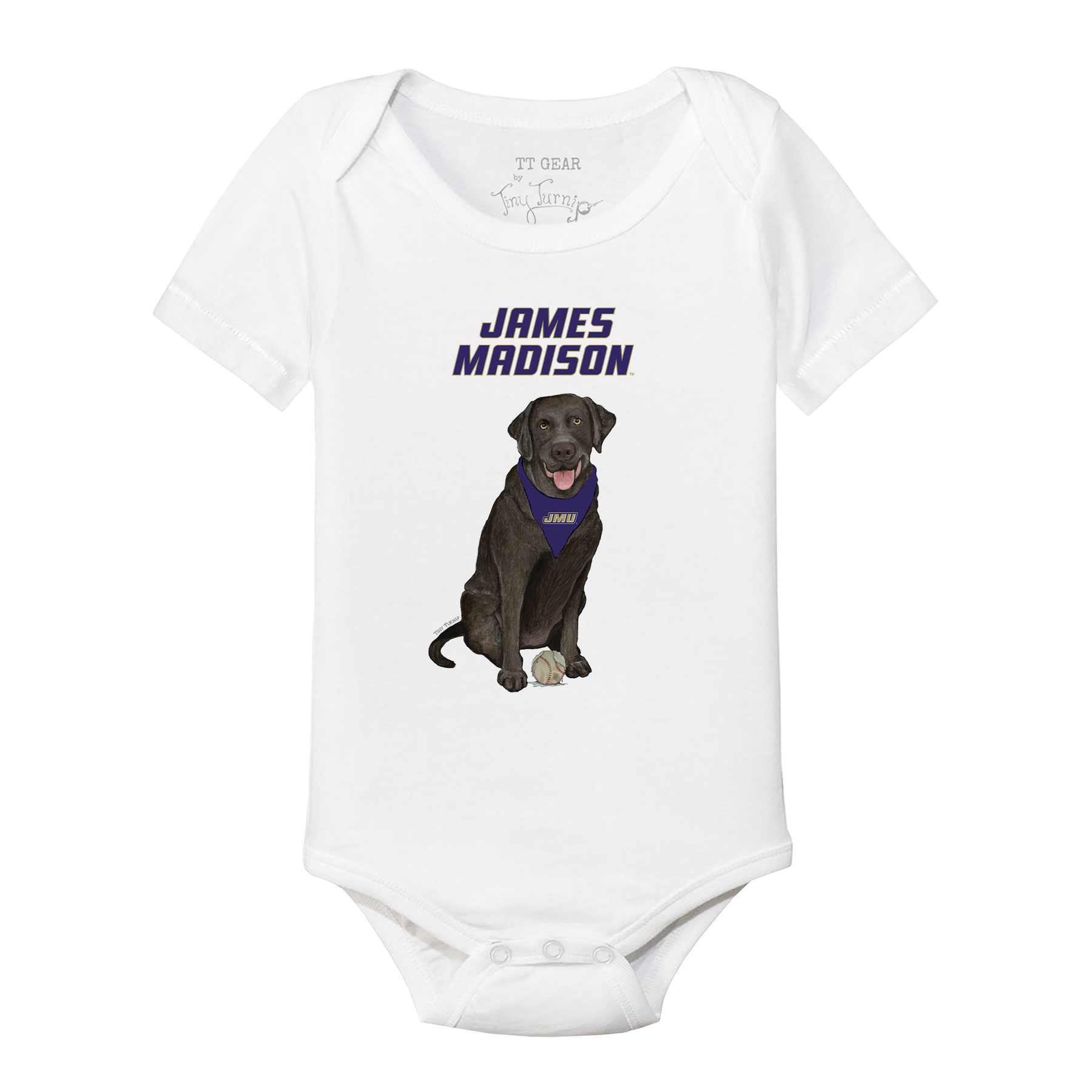 James Madison Dukes Black Labrador Retriever Short Sleeve Snapper