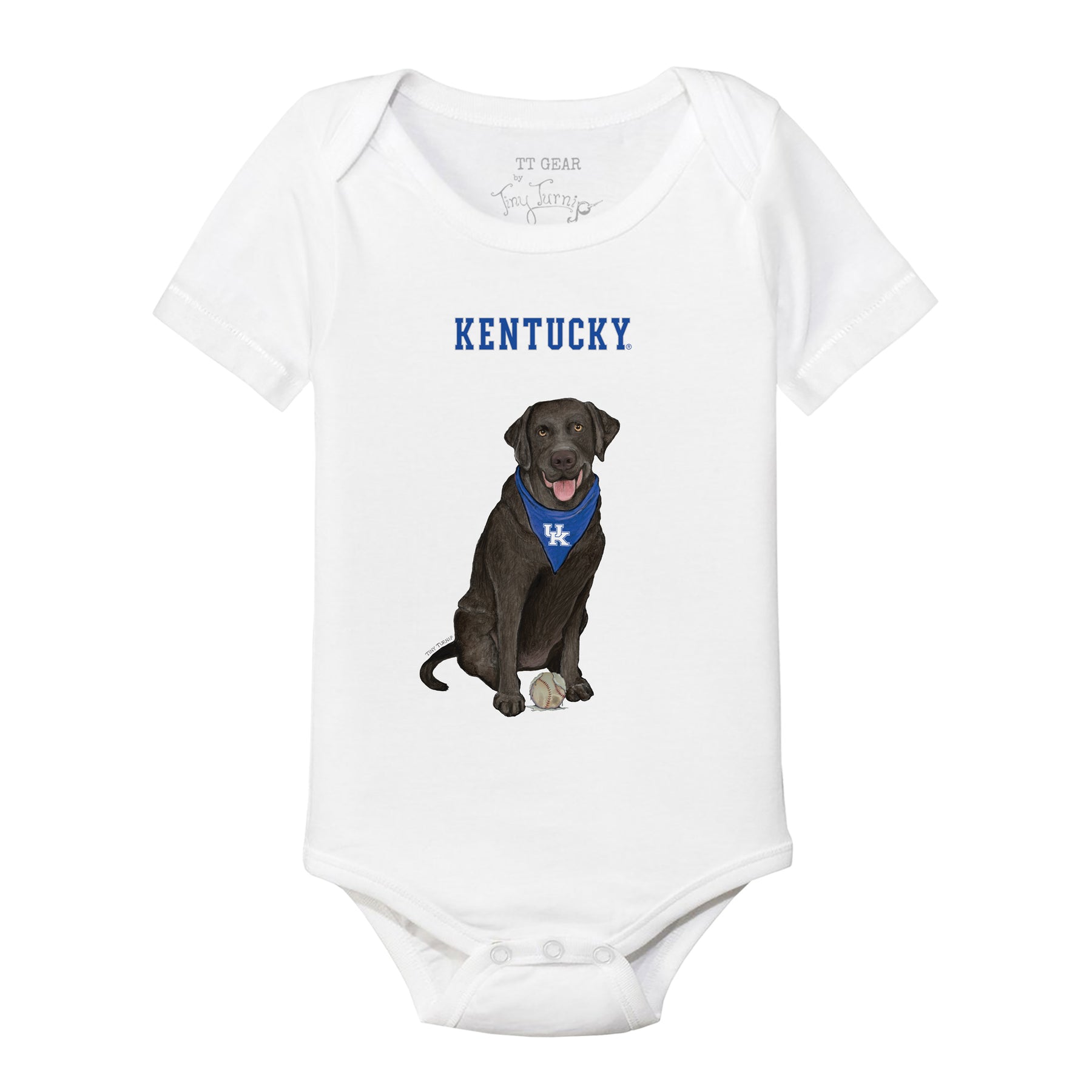 Kentucky Wildcats Black Labrador Retriever Short Sleeve Snapper