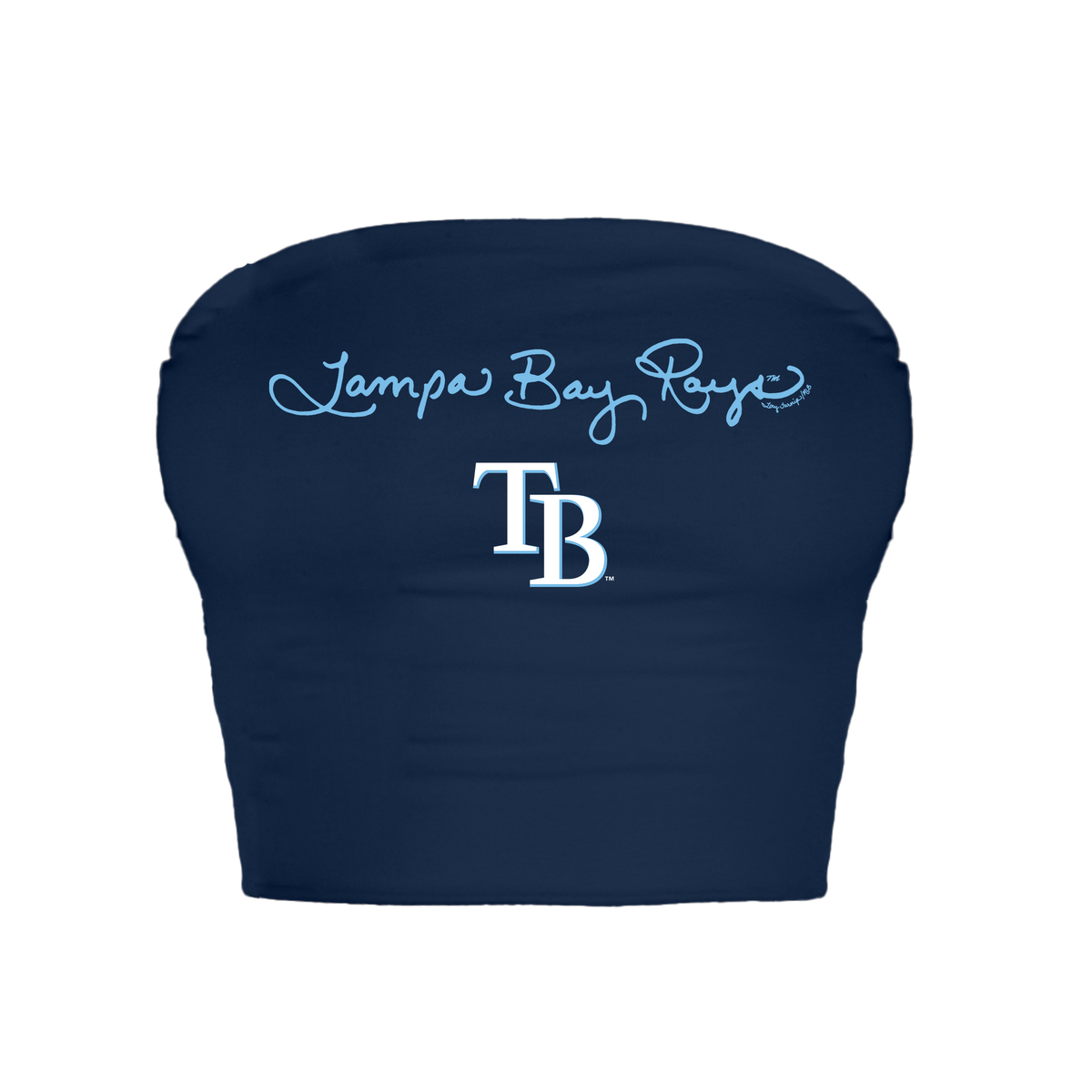 Tampa Bay Rays Logo Script Crop Tube Top