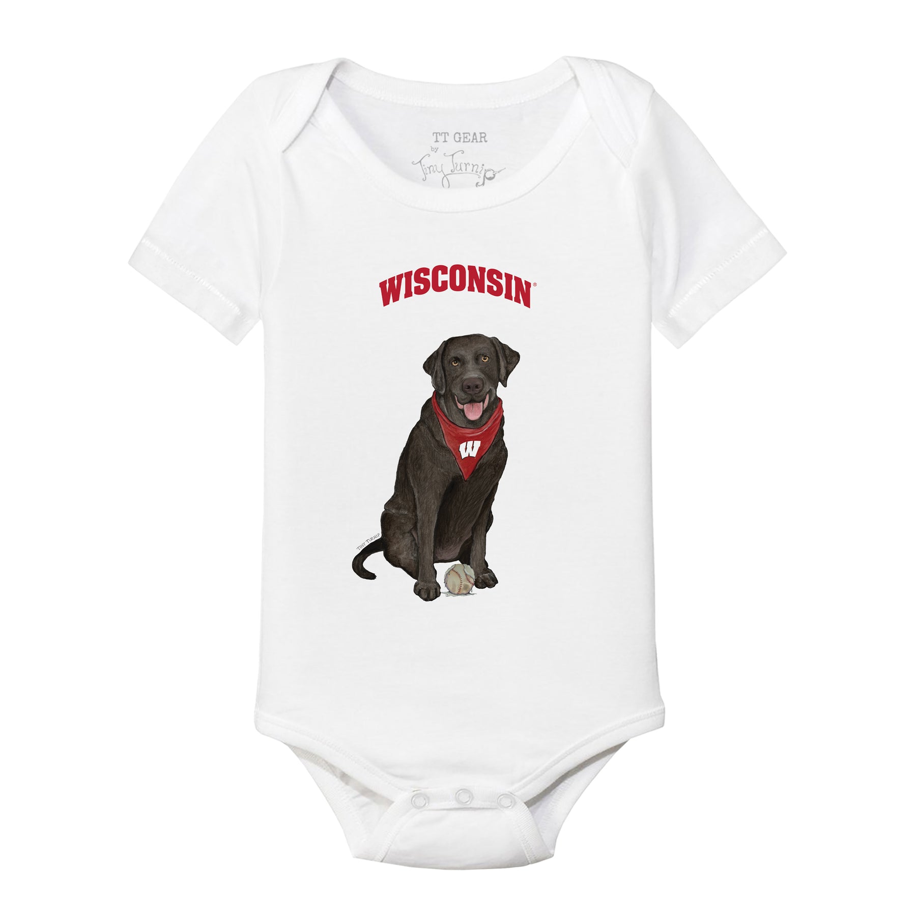 Wisconsin Badgers Black Labrador Retriever Short Sleeve Snapper