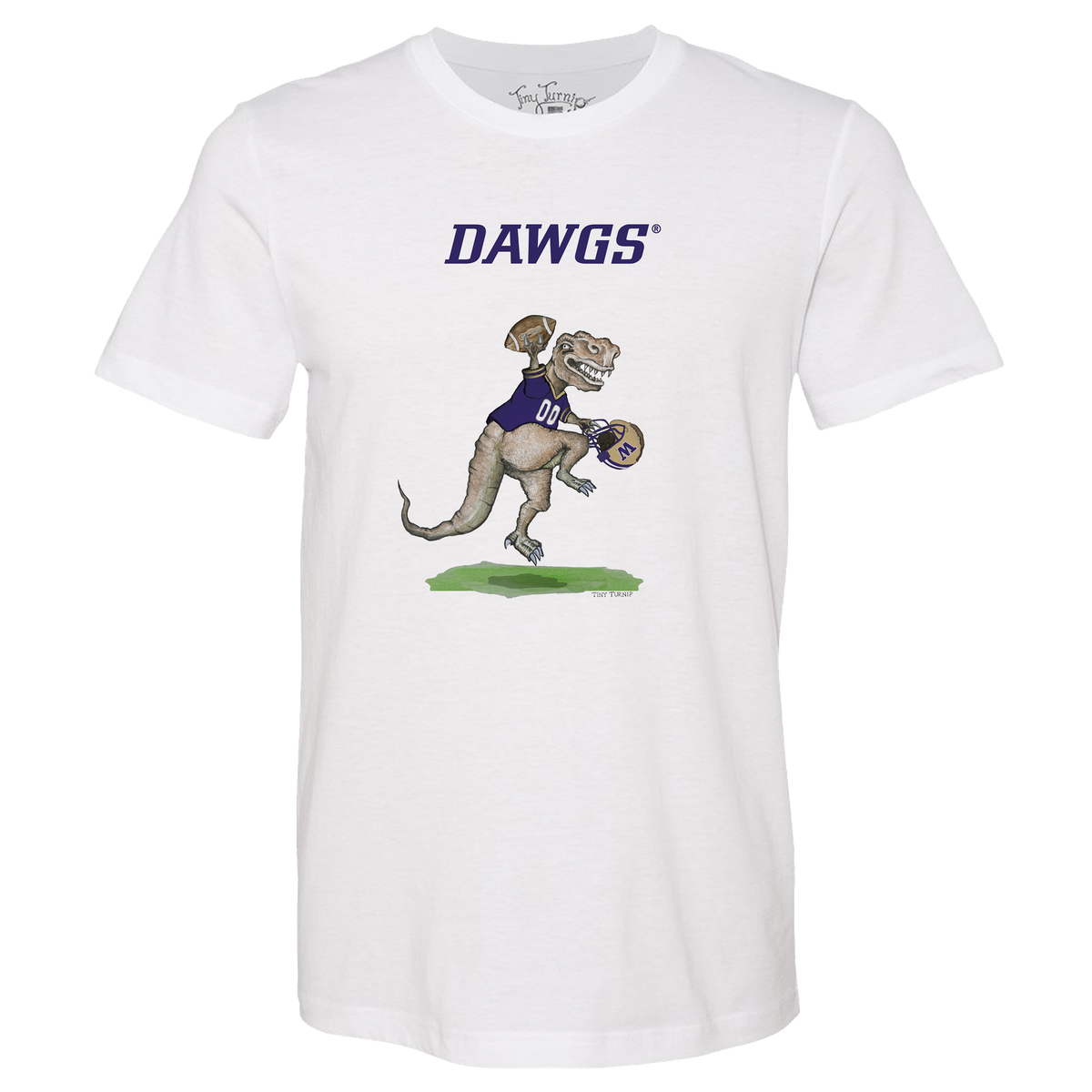 Washington Huskies TT Rex Unisex Tee Shirt