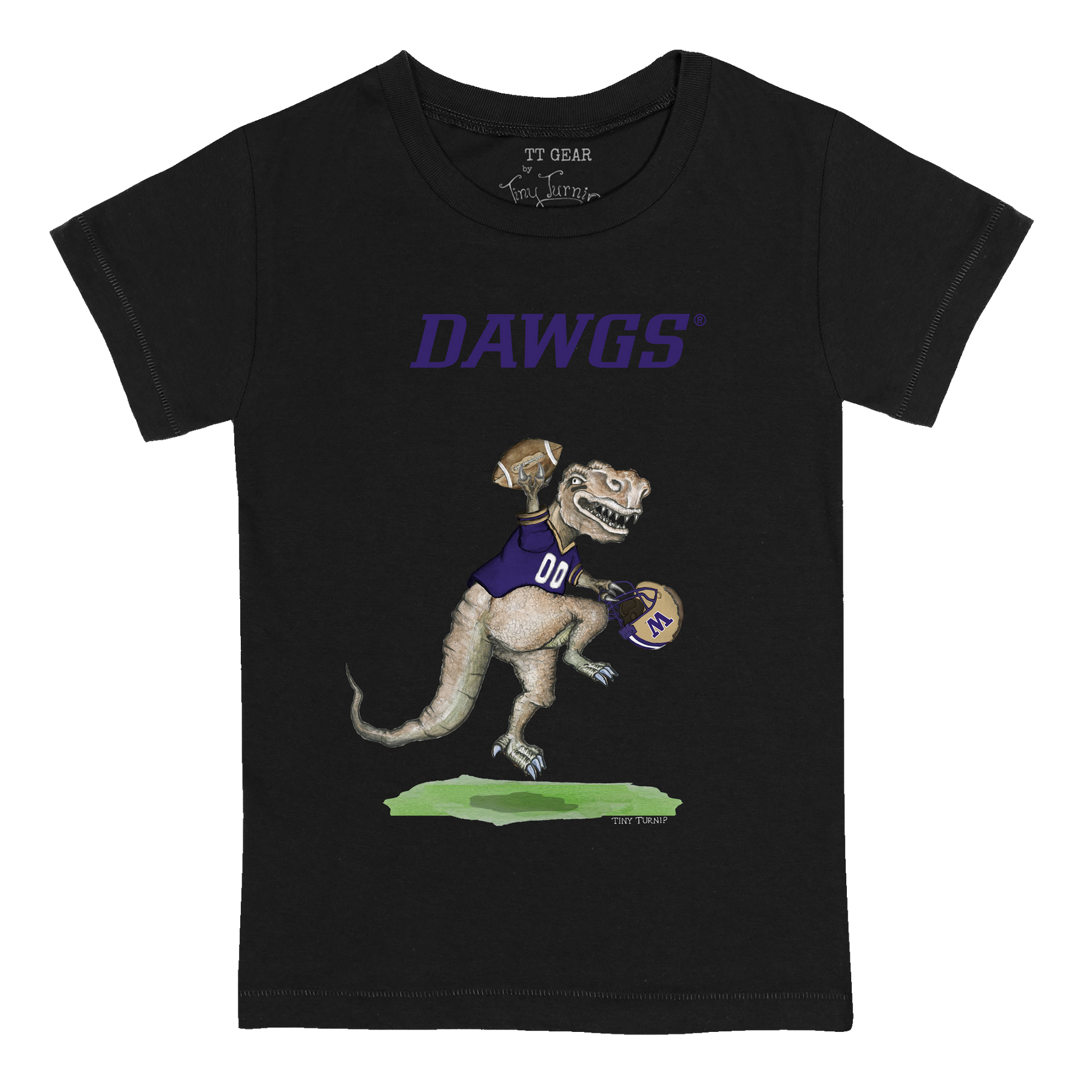 Washington Huskies TT Rex Kid's Tee Shirt