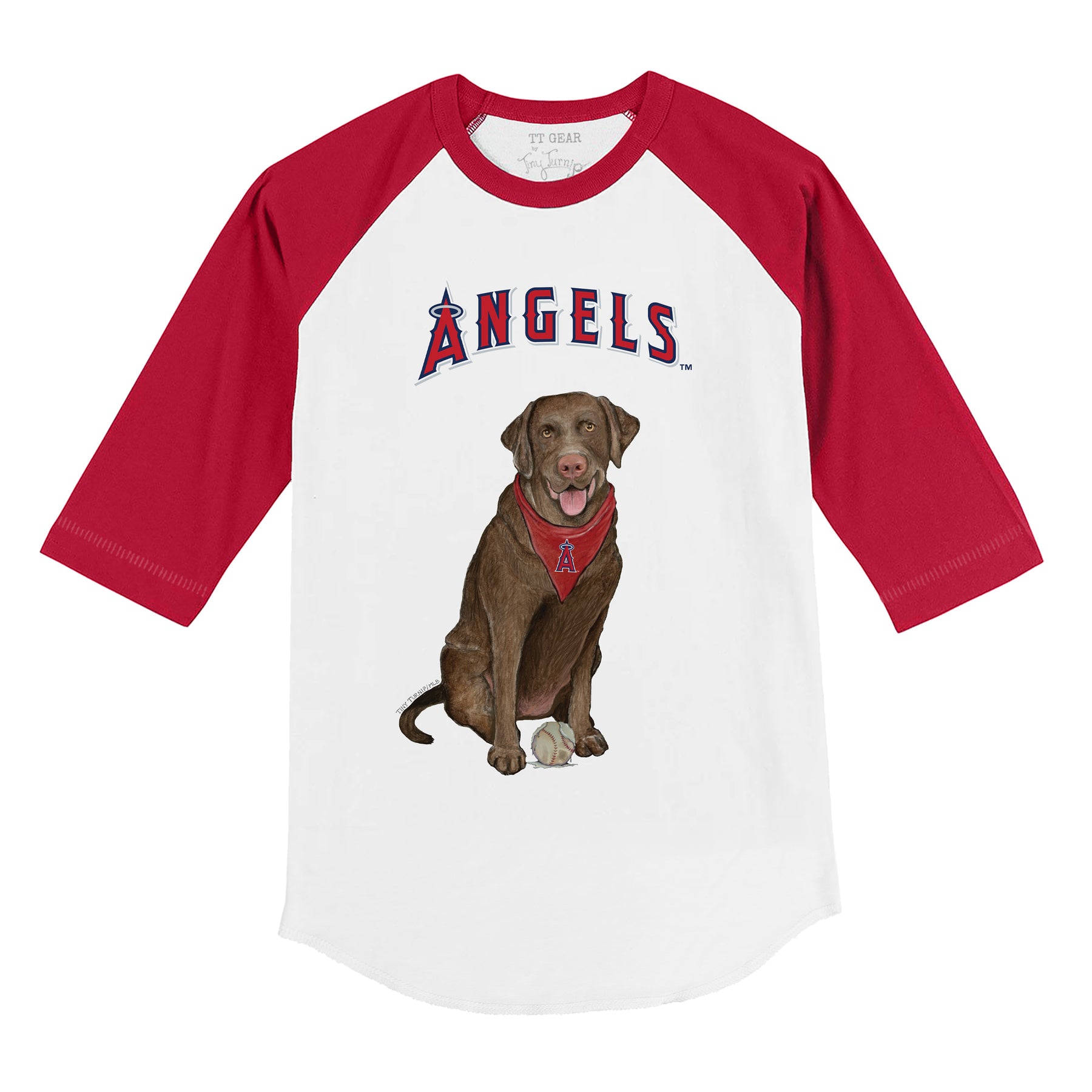 Los Angeles Angels Chocolate Labrador Retriever 3/4 Red Sleeve Raglan