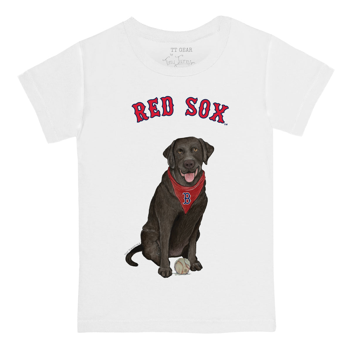 Boston Red Sox Black Labrador Retriever Tee