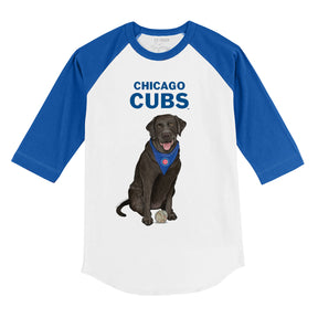 Chicago Cubs Black Labrador Retriever 3/4 Royal Blue Sleeve Raglan