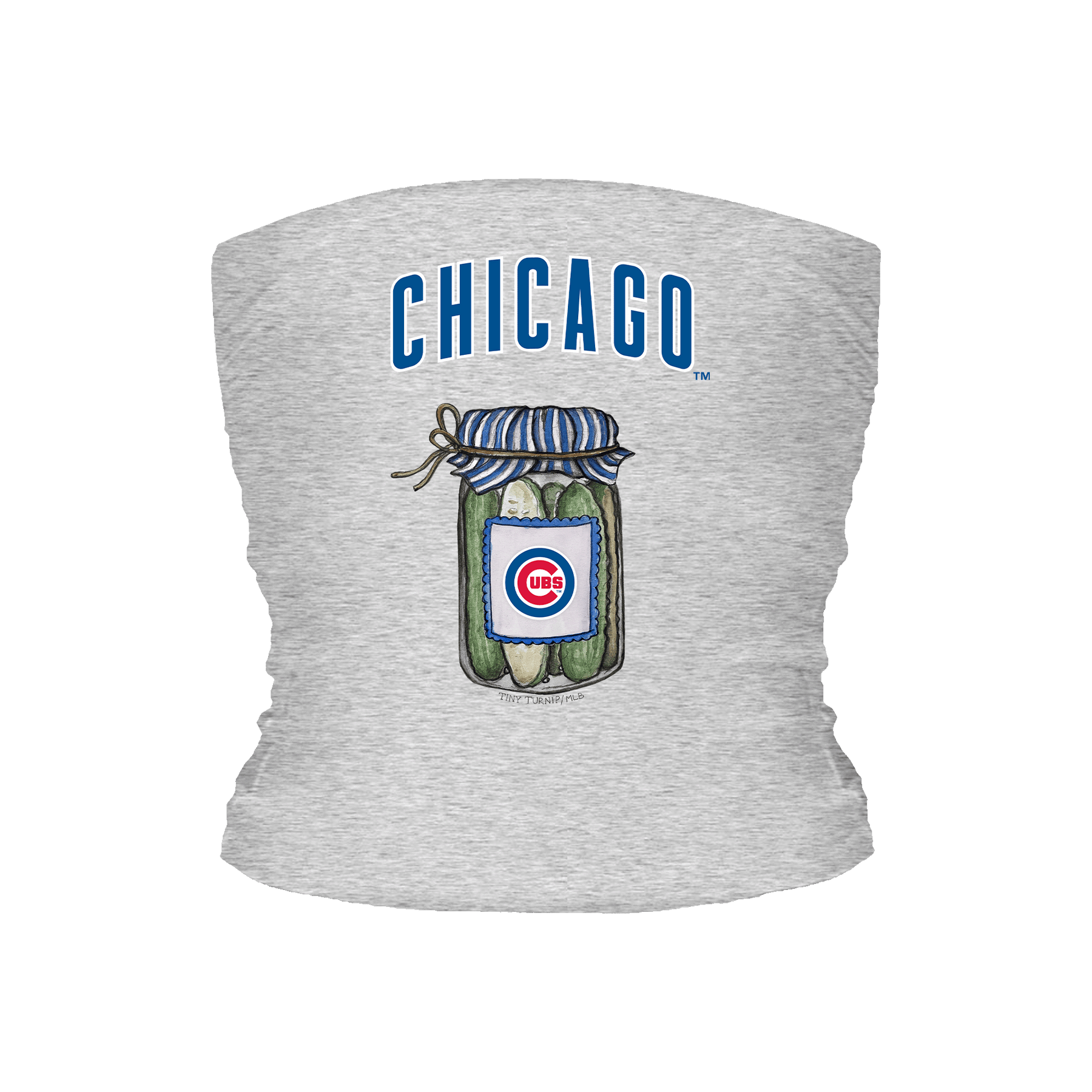 Chicago Cubs Pickle Jar Tube Top