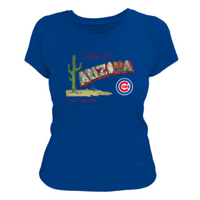 Chicago Cubs Spring Training 2025 Tee Shirt