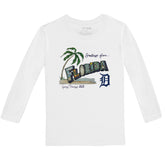 Detroit Tigers Spring Training 2025 Long-Sleeve Tee Shirt