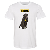 Iowa Hawkeyes Black Labrador Retriever Unisex Tee Shirt