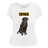 Iowa Hawkeyes Black Labrador Retriever Women's Tee Shirt