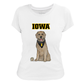 Iowa Hawkeyes Golden Retriever Women's Tee Shirt