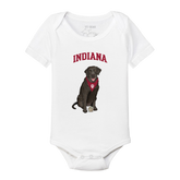 Indiana Hoosiers Black Labrador Retriever Short Sleeve Snapper