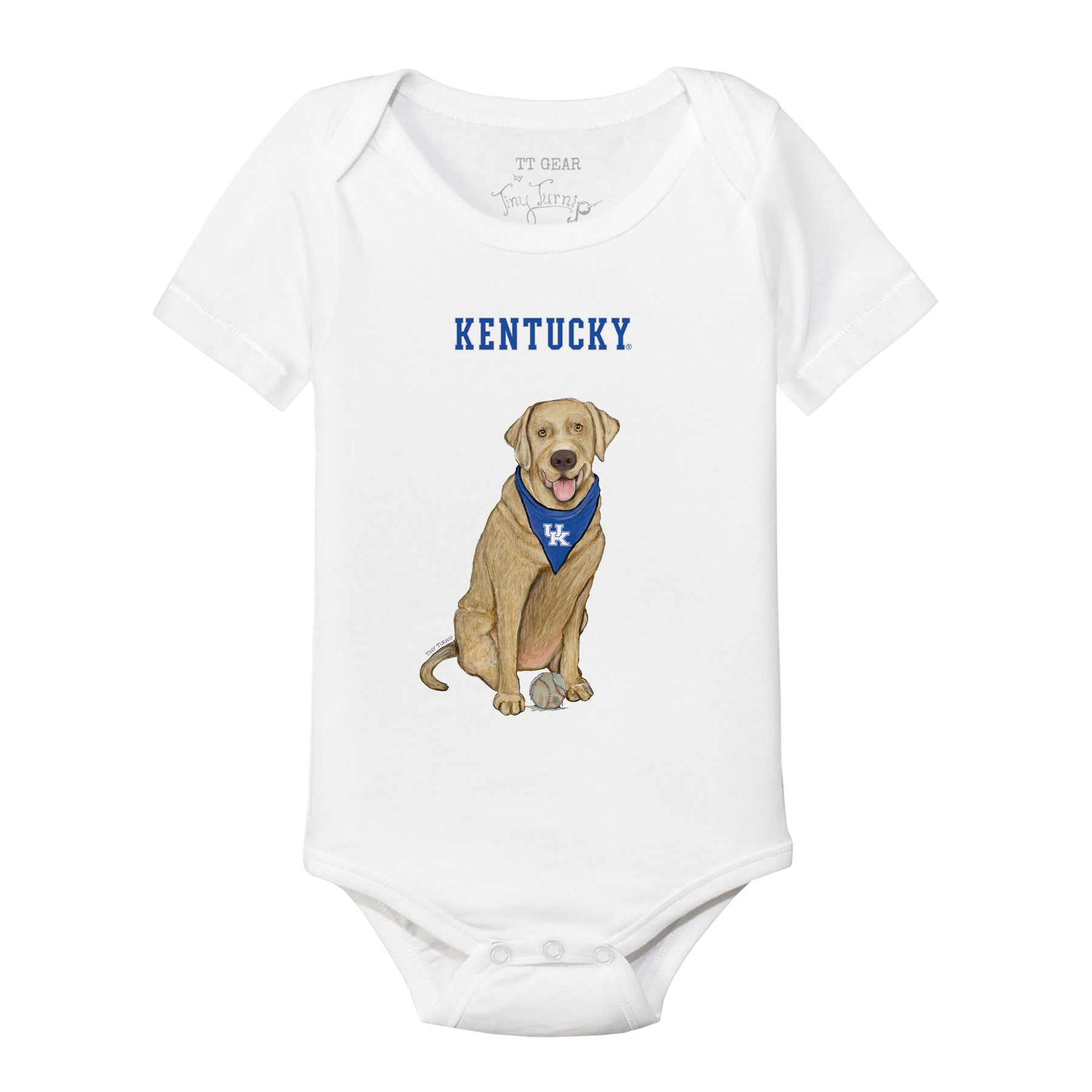 Kentucky Wildcats Yellow Labrador Retriever Short Sleeve Snapper