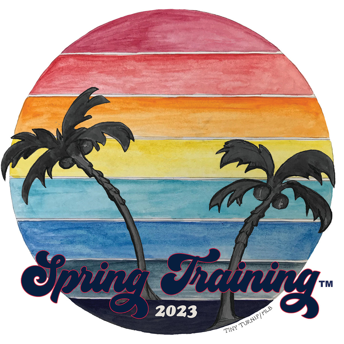 Youth Tiny Turnip White St. Louis Cardinals 2023 Spring Training T-Shirt Size: Medium
