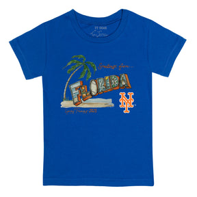 New York Mets Spring Training 2025 Tee Shirt