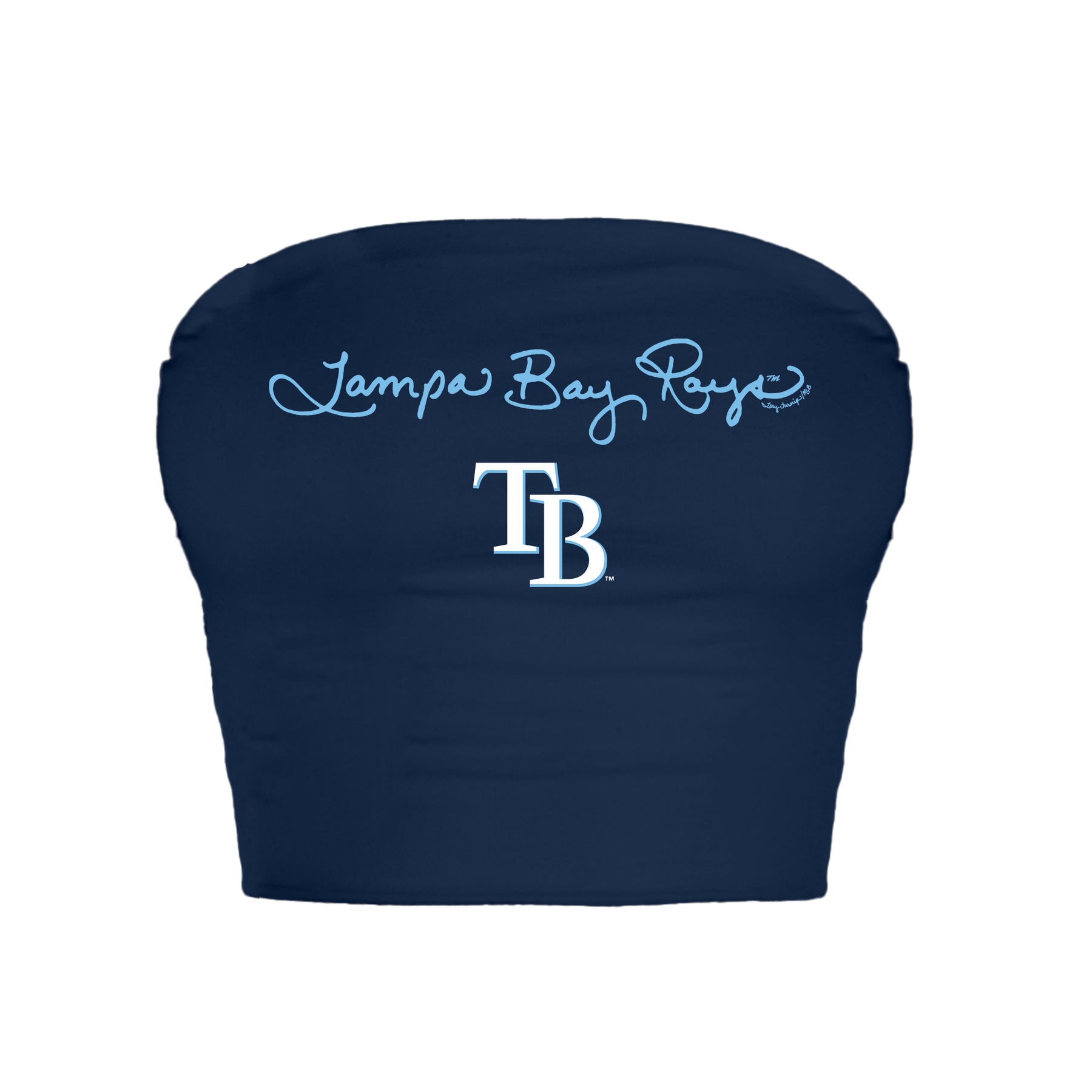 Tampa Bay Rays Logo Script Crop Tube Top