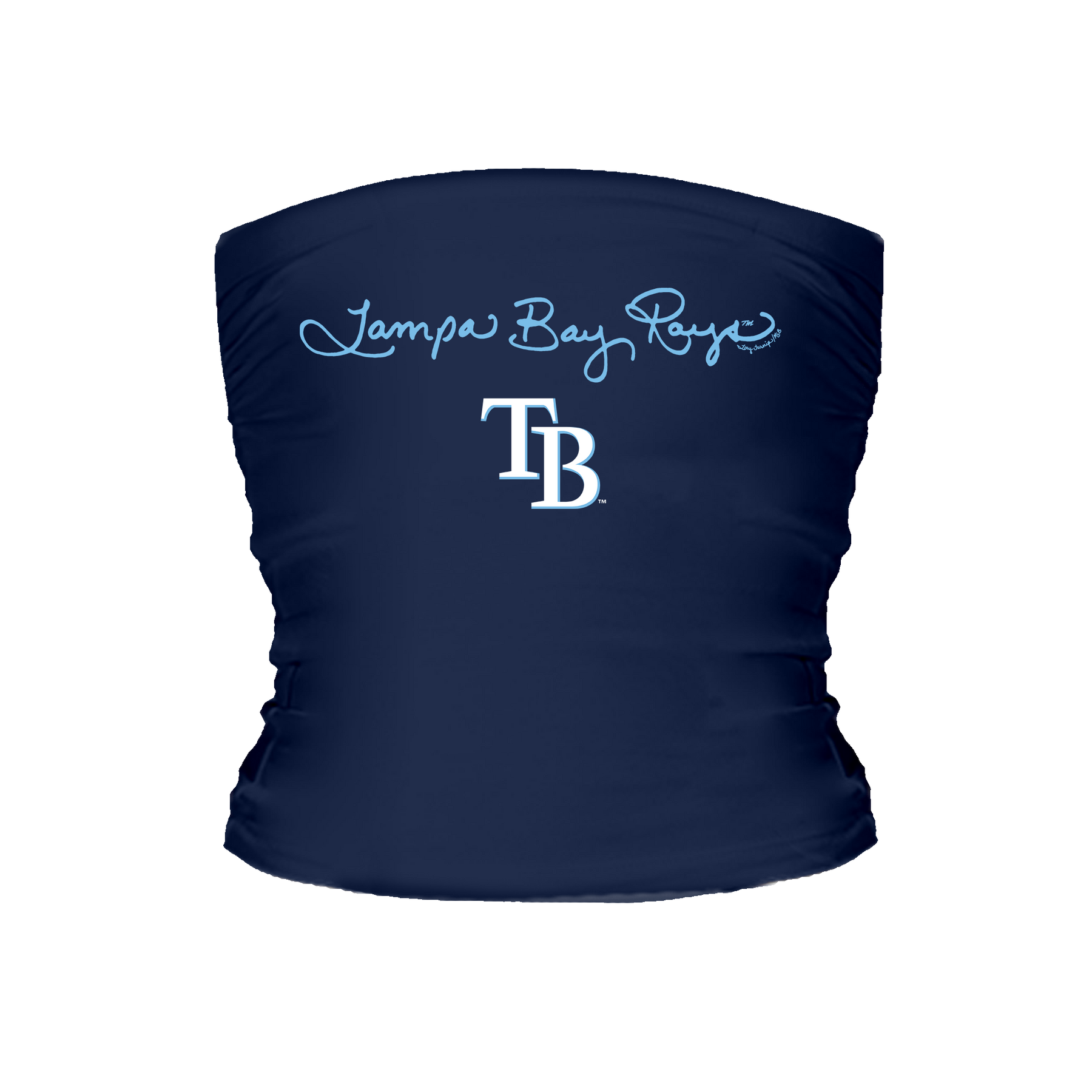 Tampa Bay Rays Logo Script Tube Top - Tiny Turnip