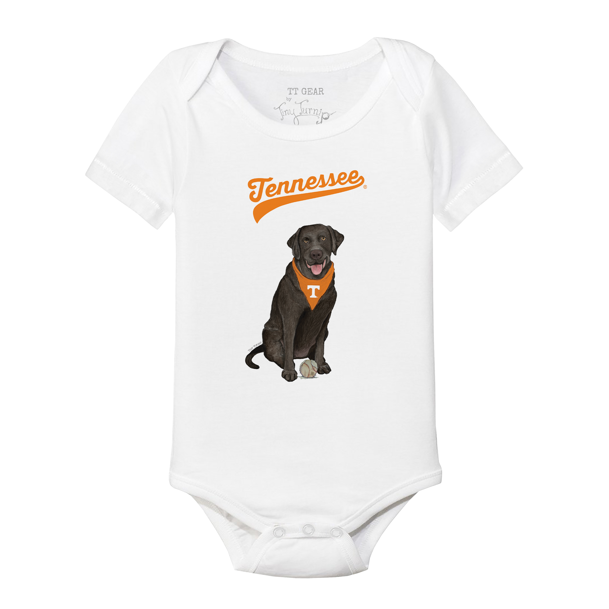 University of Tennessee Volunteers Black Labrador Retriever Short ...
