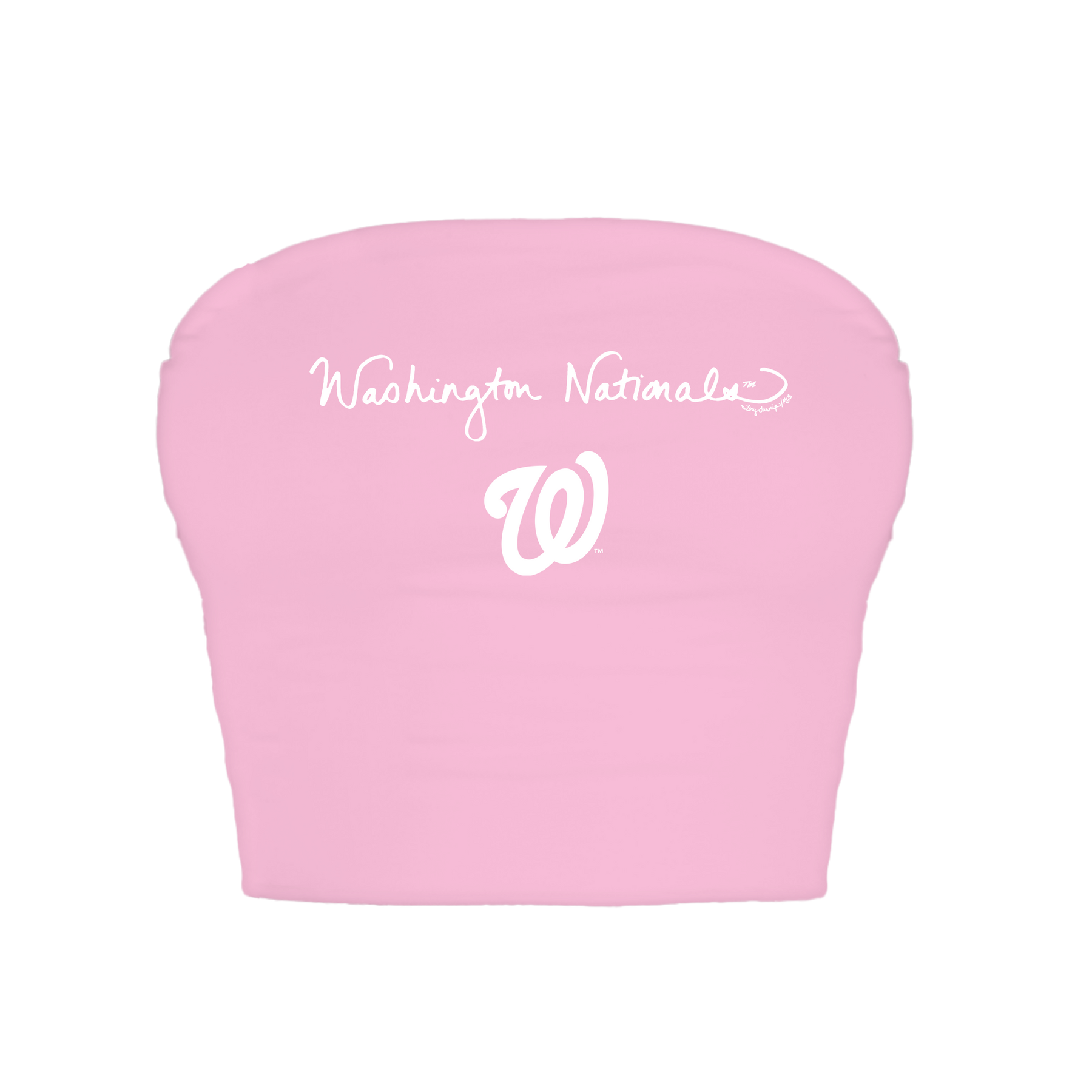 Washington Nationals Logo Script Crop Tube Top