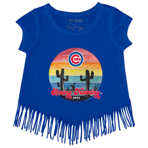 MLB Chicago Cubs Women's Short Sleeve V-Neck Fashion T-Shirt - S